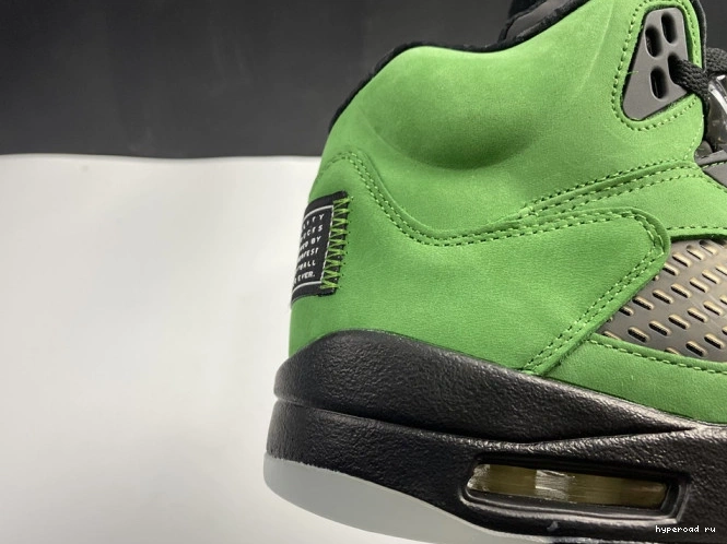 Jordan Oregon SE Air 5 CK6631-307 Ducks 1217